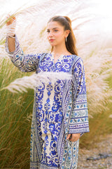 2 piece Silk printed coord Kaftaan - kp1131